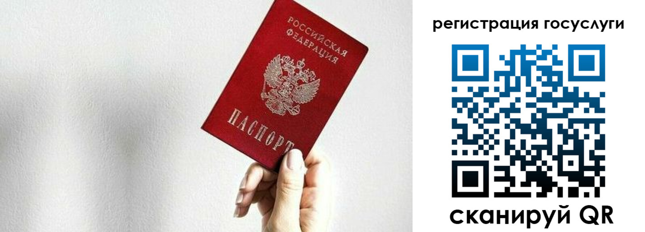 временная регистрация гарантия в Мурино